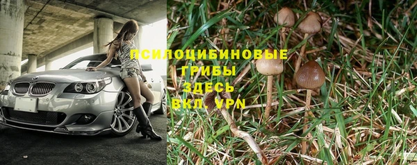 a pvp Алексин