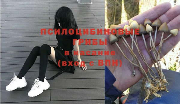 гидропоника Алексеевка